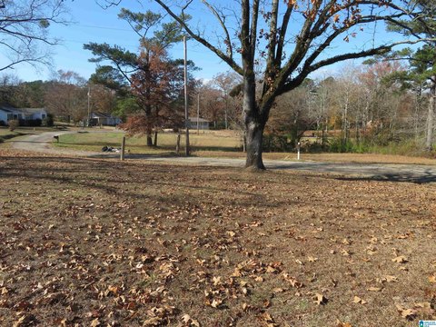 Bessemer Building Lot Ready
