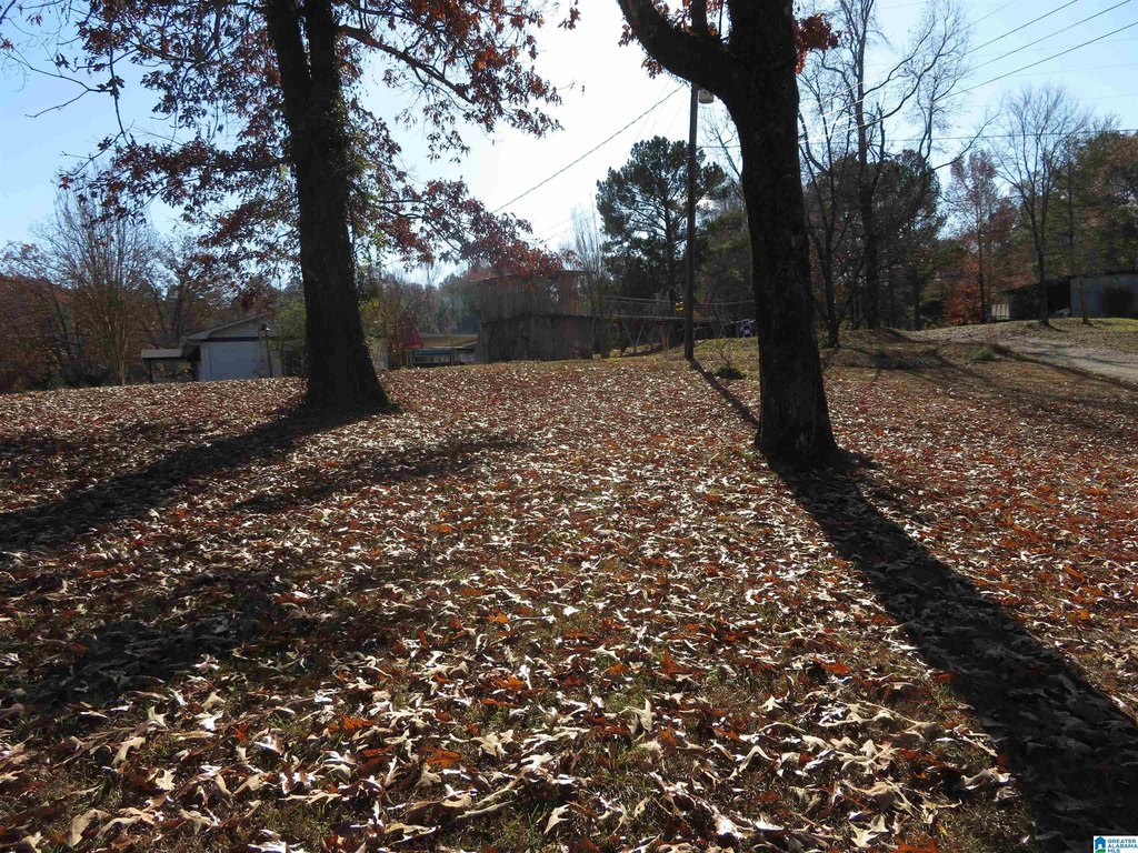 Picture 5