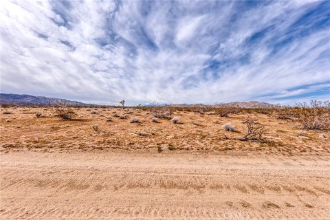 Joshua Tree Buildable Desert Parcel