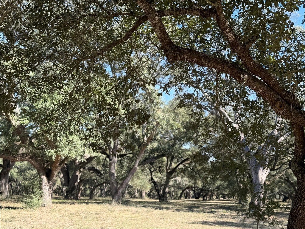 Picture 30