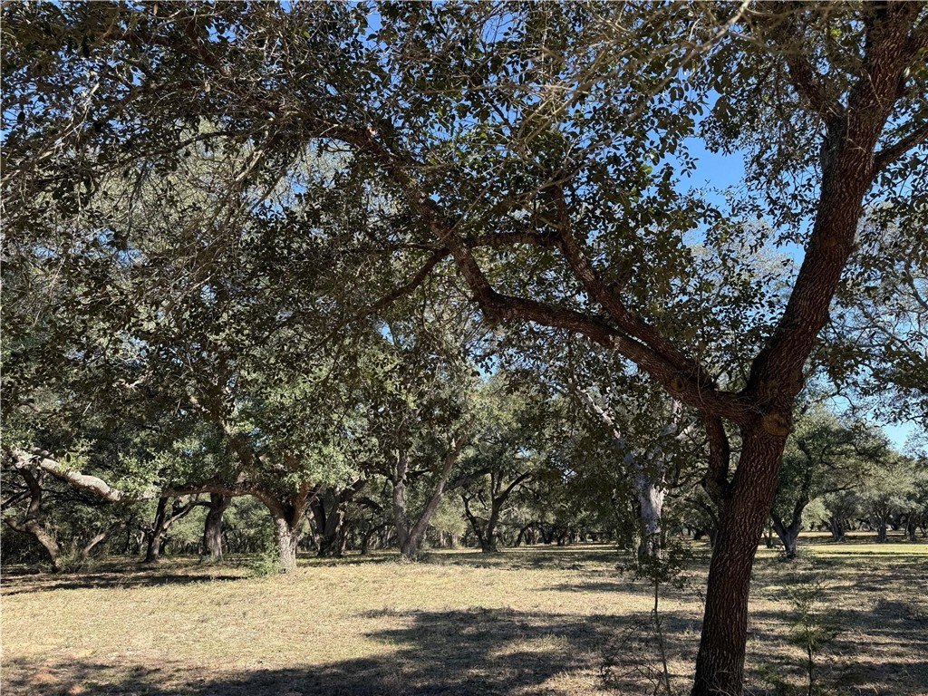 Picture 25
