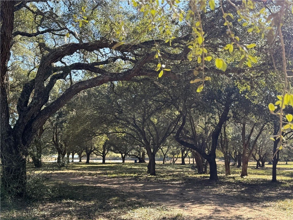 Picture 20