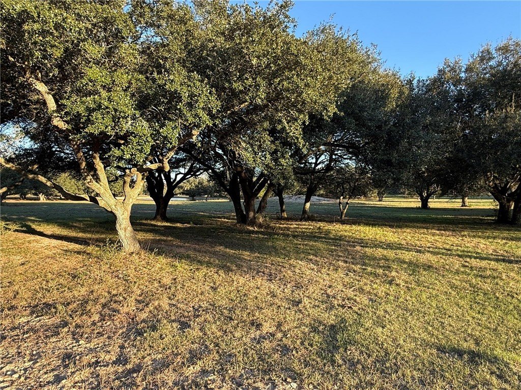 Picture 22