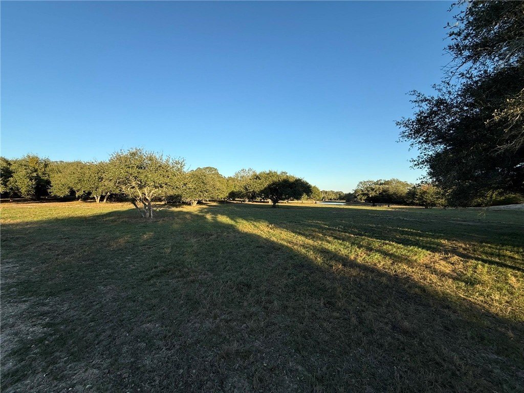 Picture 21