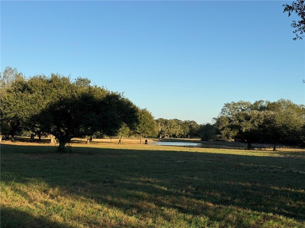 Picture 10