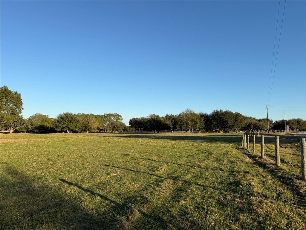 Picture 23