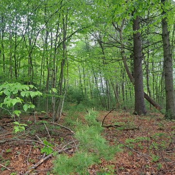 Land, Huntingdon, PA