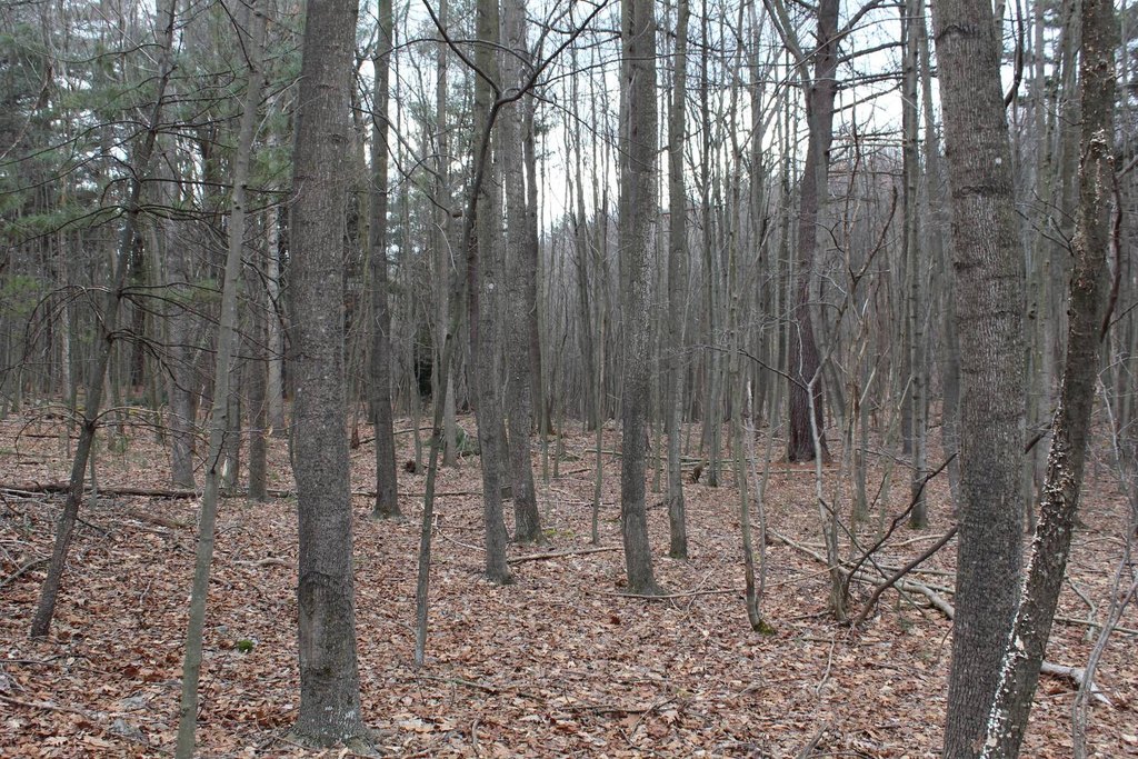 Picture 2