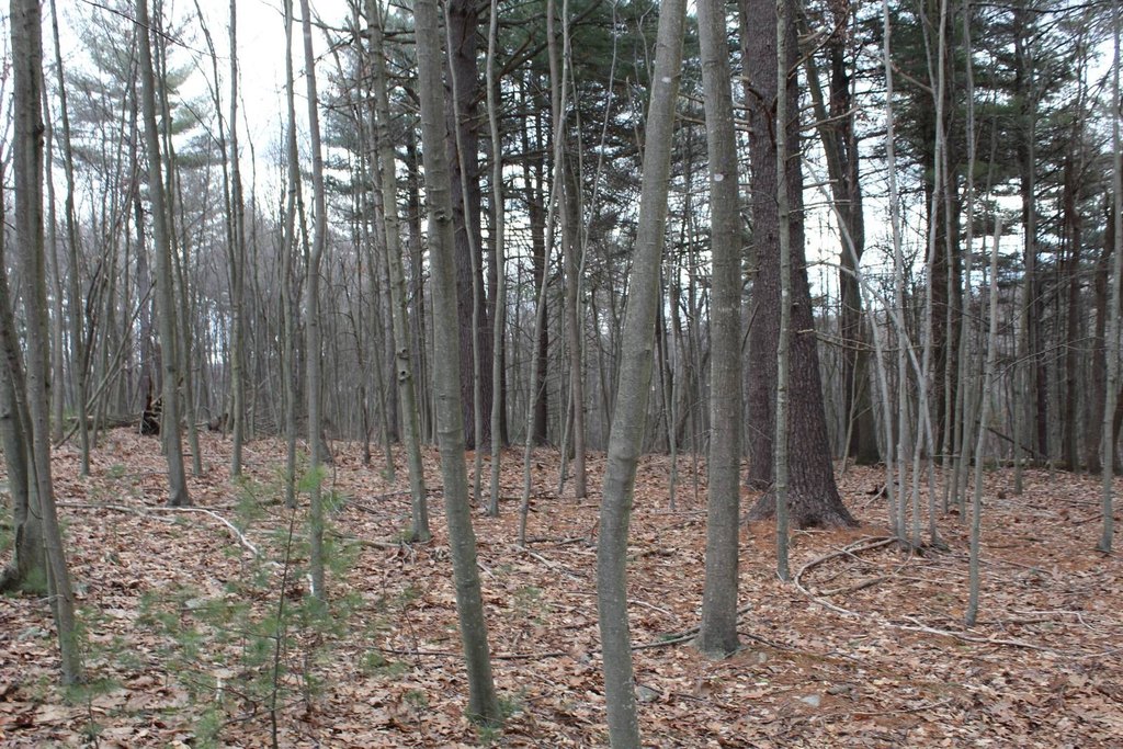 Picture 3