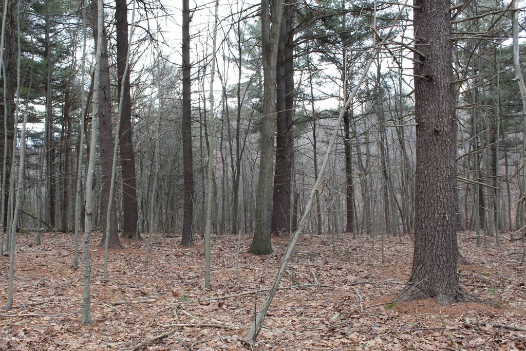 Picture 4