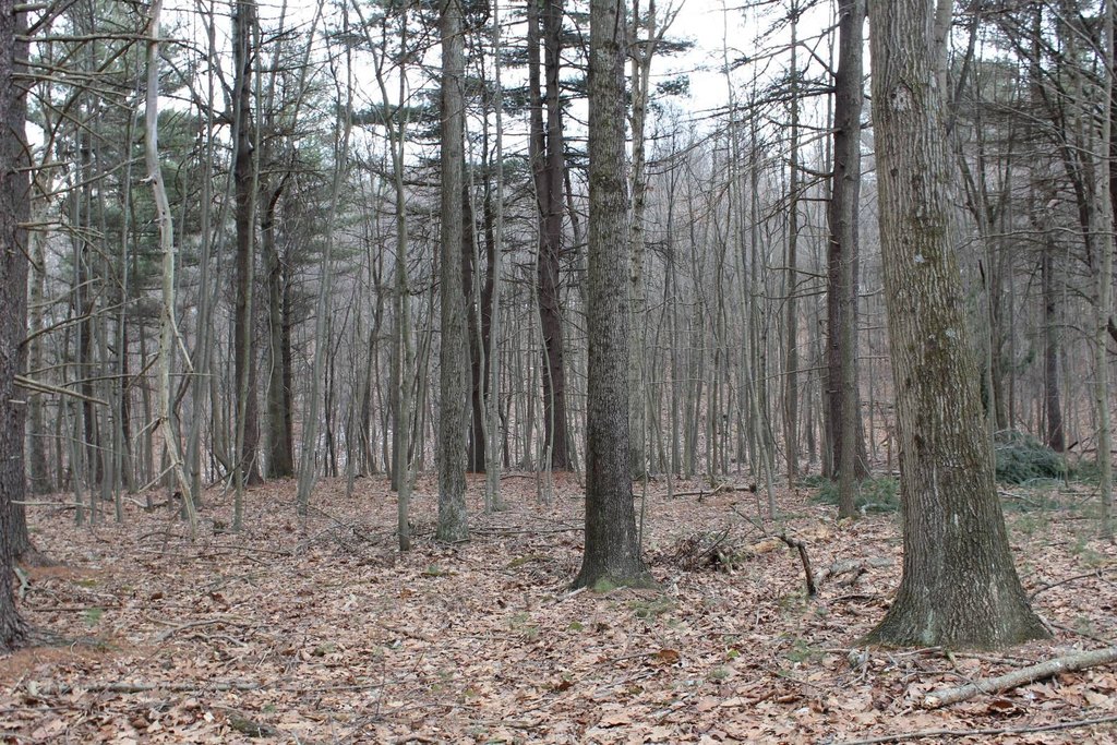 Picture 6