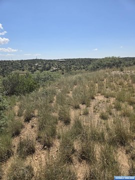 Land, Silver City, NM