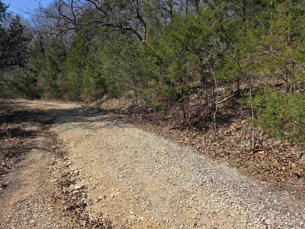Picture 9