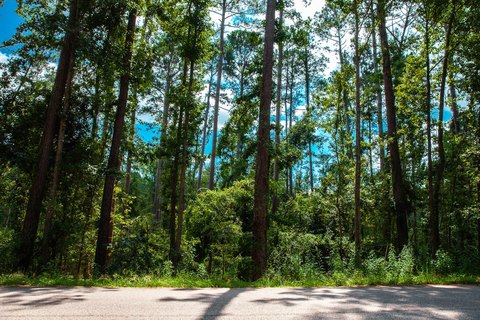 Residential Land in Sumter Woods