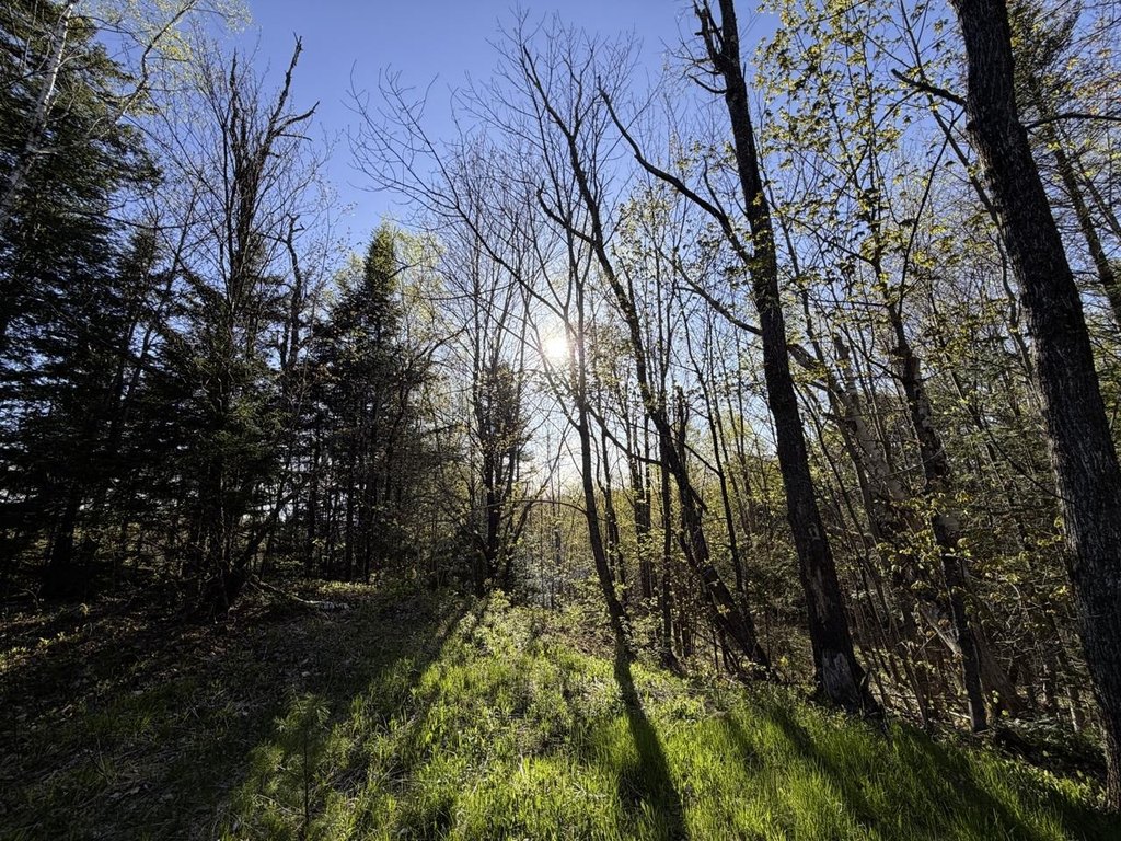 Picture 31