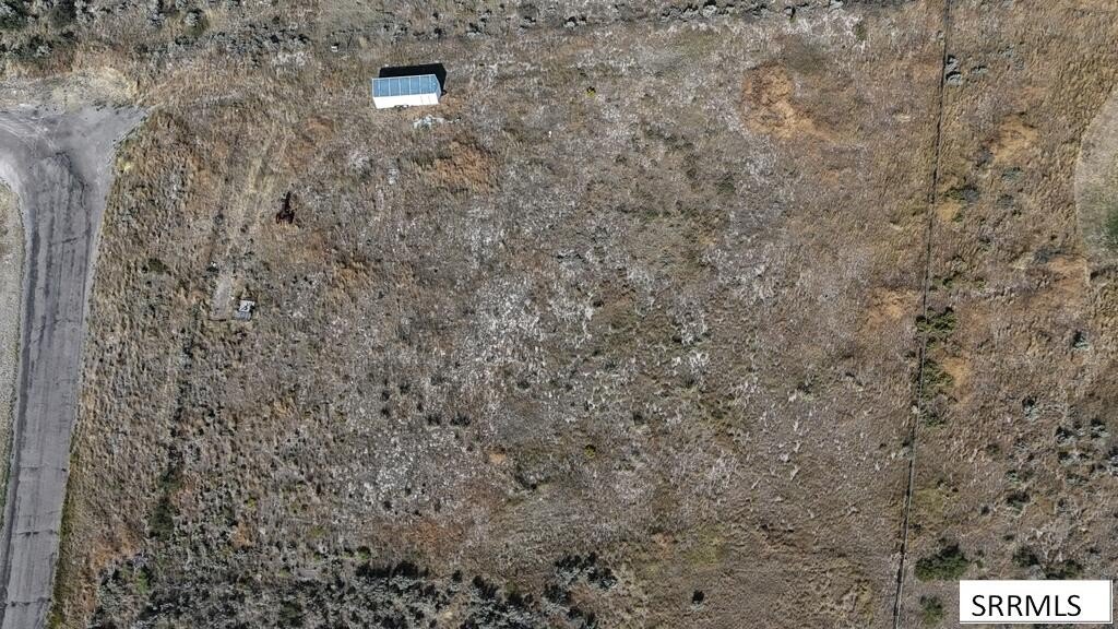 Picture 6