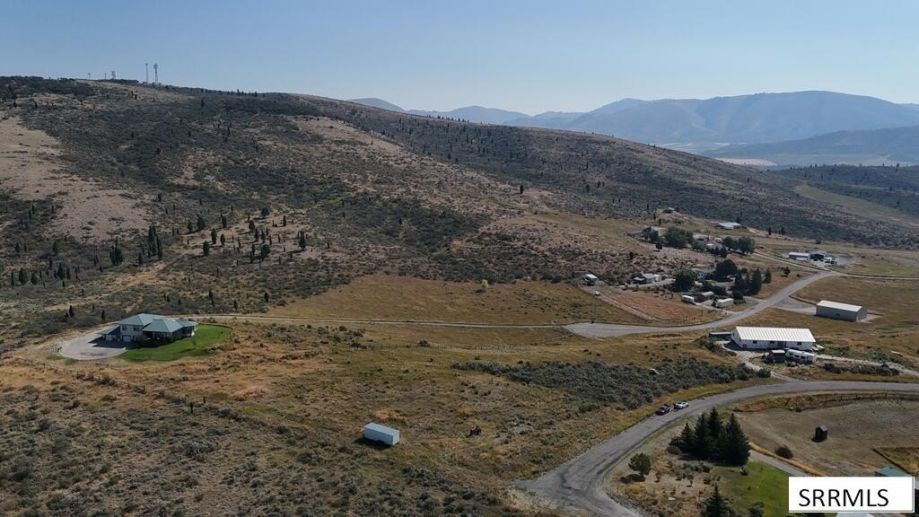 Picture 21
