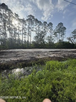 Vacant Wooded Lot For Sale