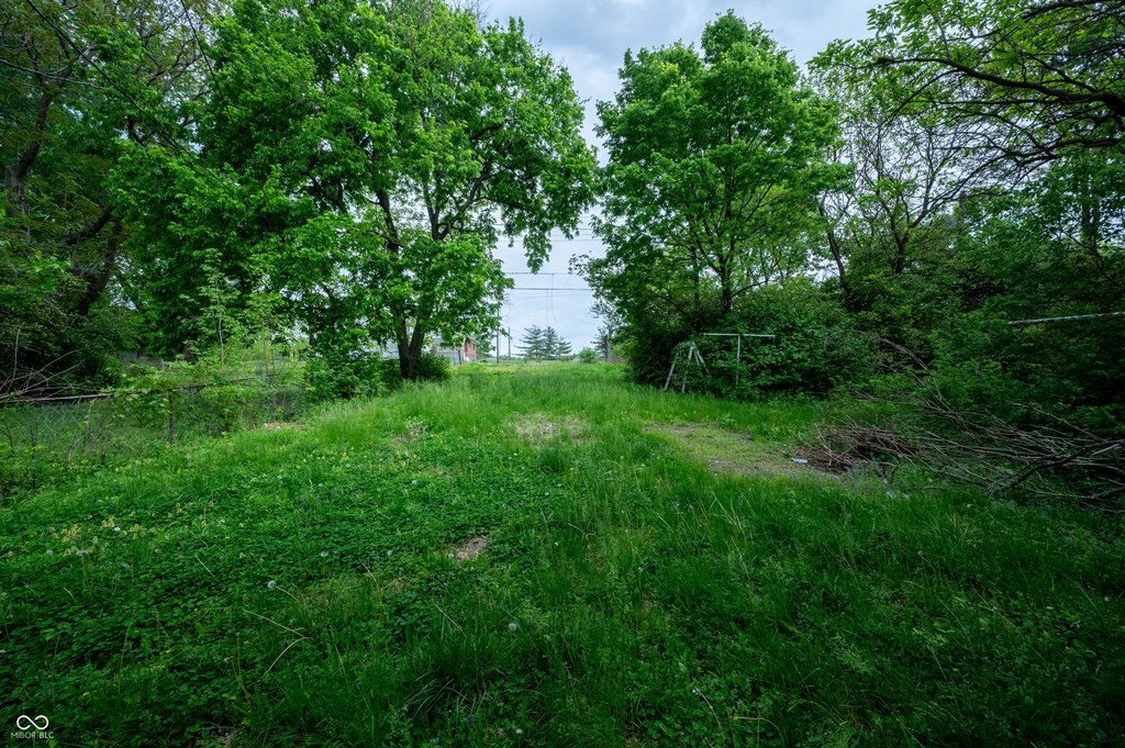 Picture 8