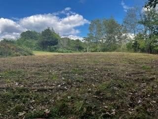 Unrestricted Land Near Cookeville Dock