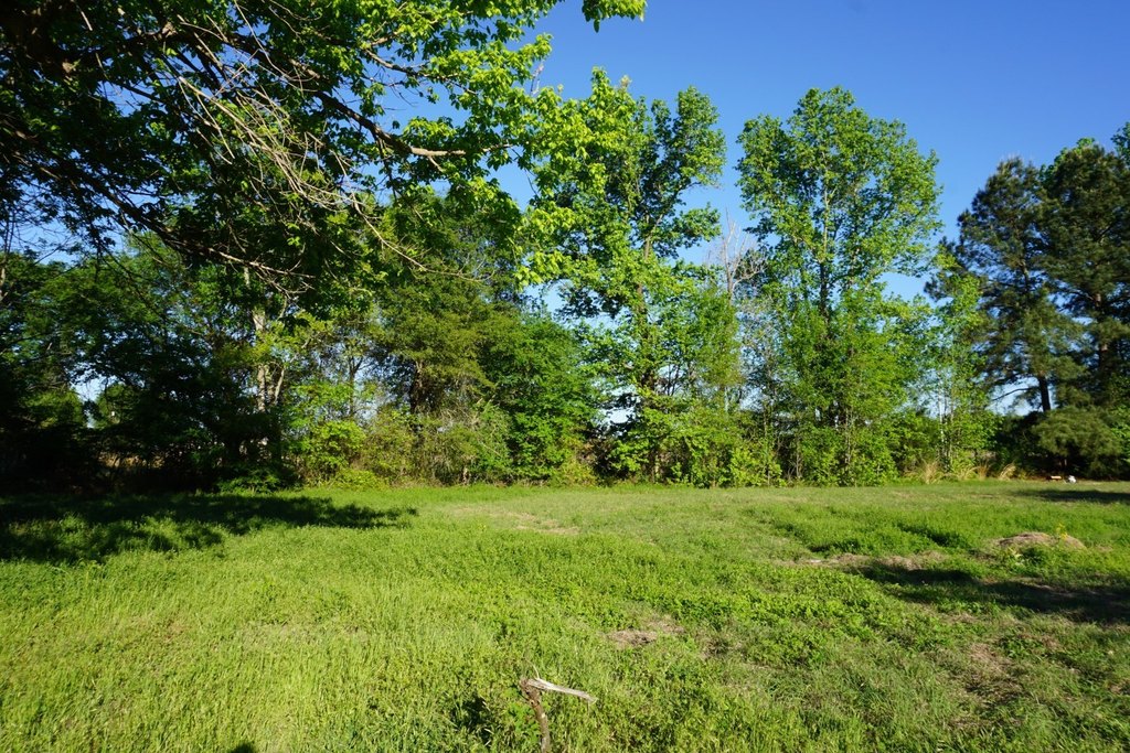 Picture 3