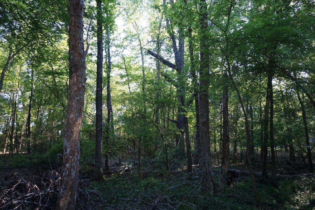 Picture 17