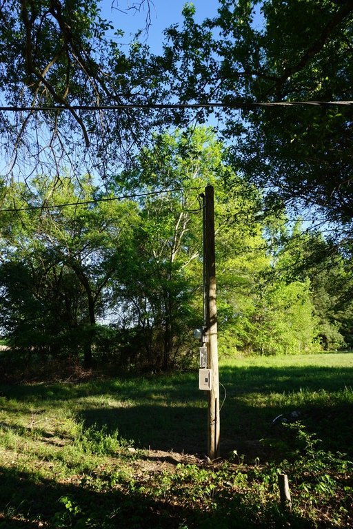 Picture 31