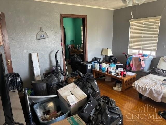 Picture 27