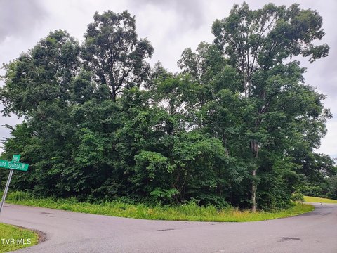 Kingsport, TN Corner Lot