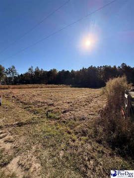 Land, Hamer, SC