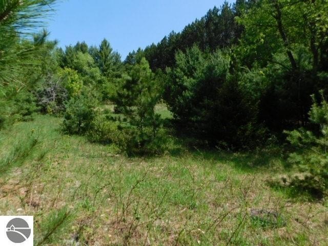 Picture 7