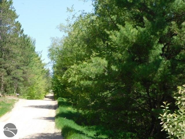 Picture 3