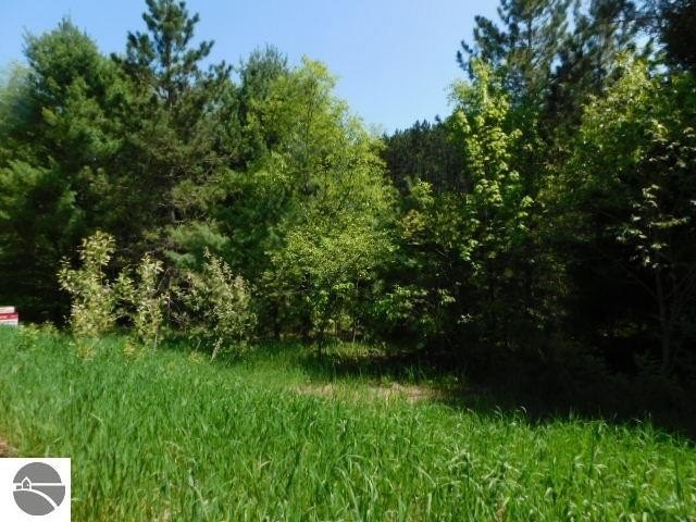 Picture 13