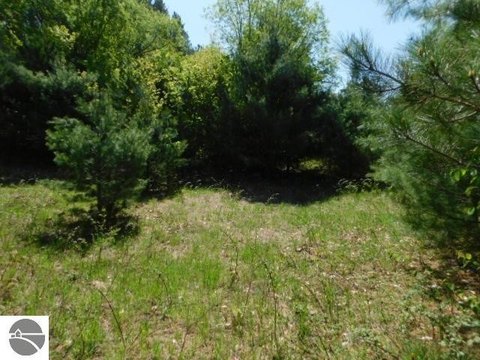 Wooded Land Parcel Near Kalkaska
