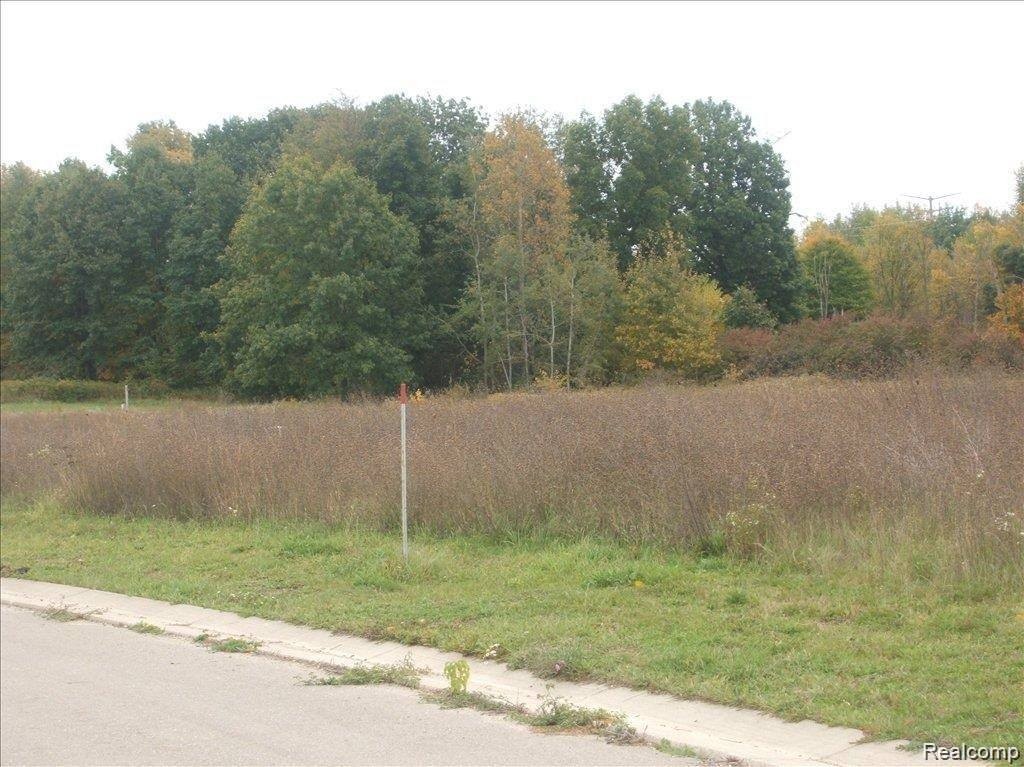 Picture 3