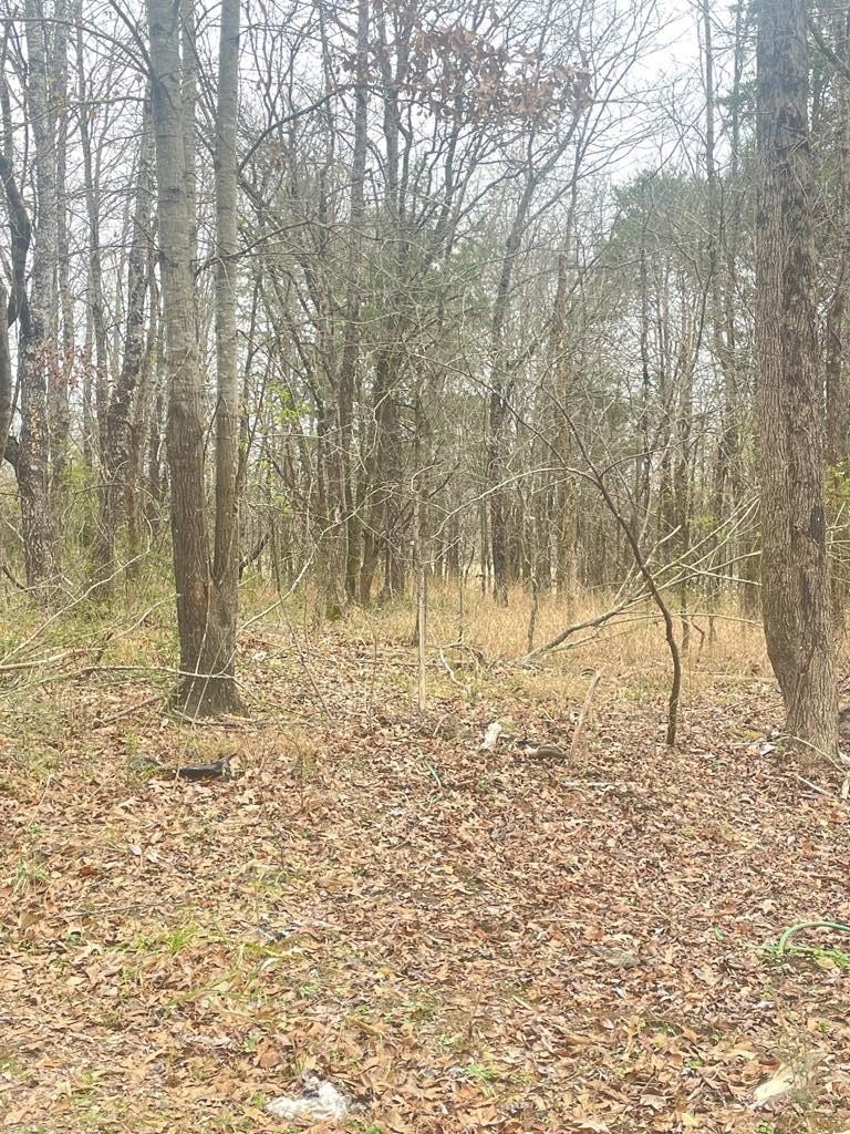 Residential Land in Byhalia, MS