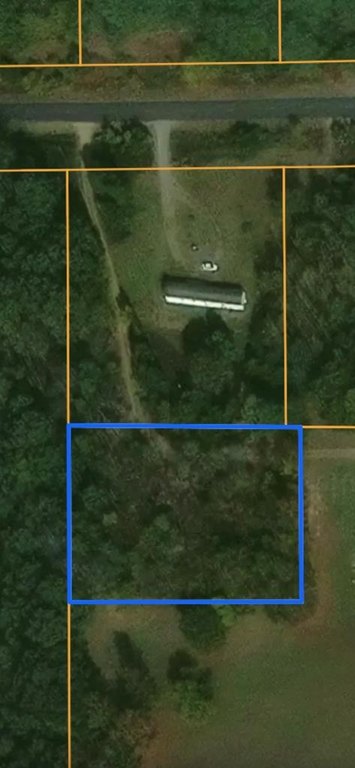 Picture 2