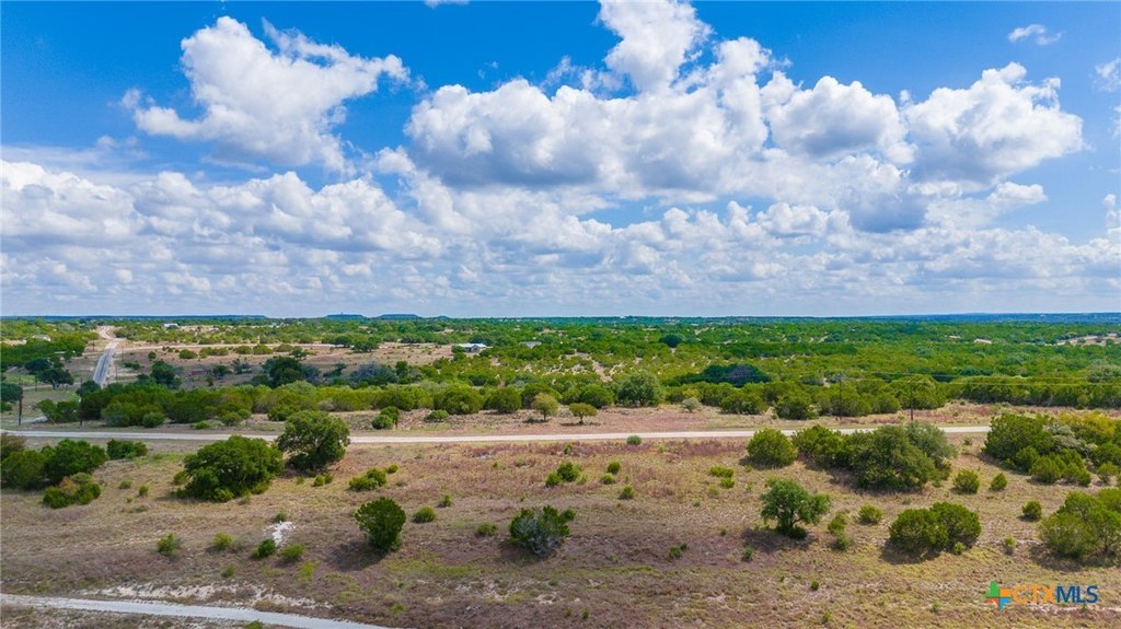 Picture 17