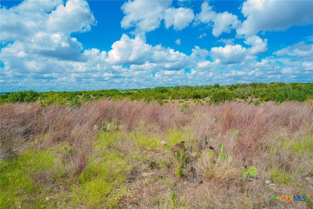 Picture 20