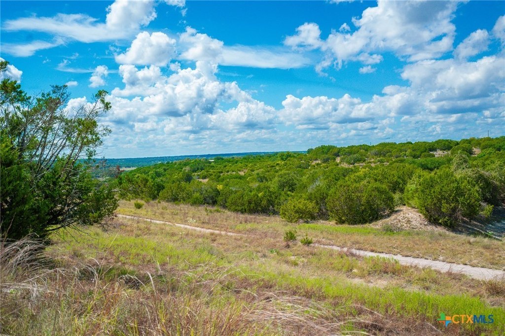 Picture 26