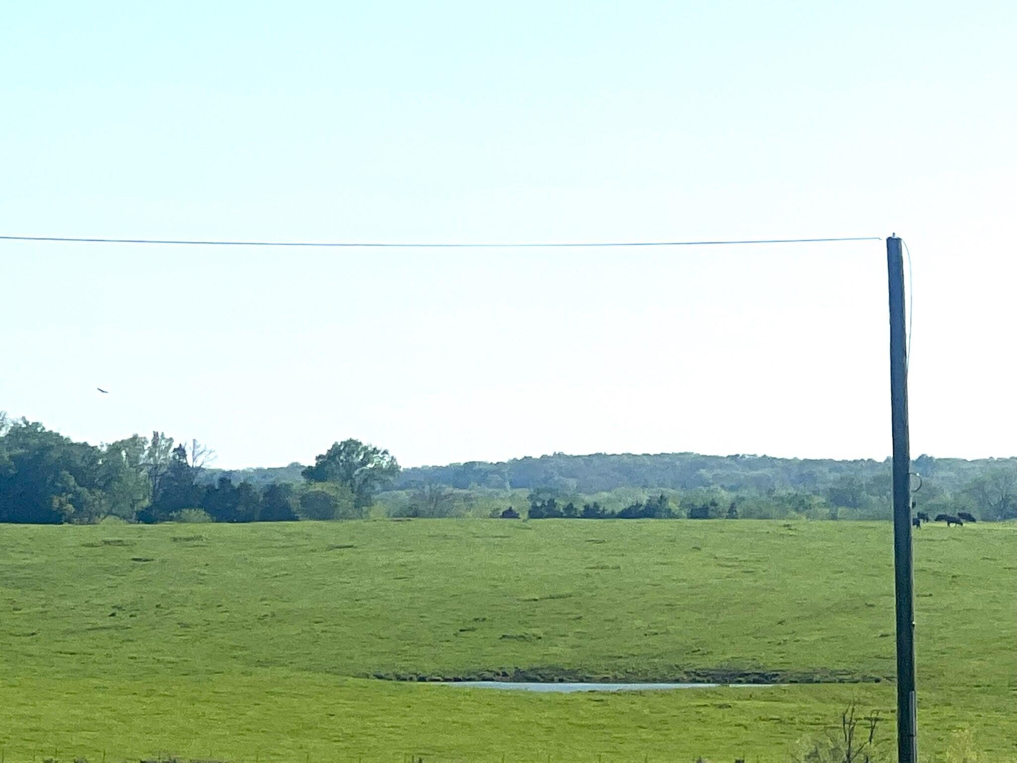 40 Acres of Versatile Land