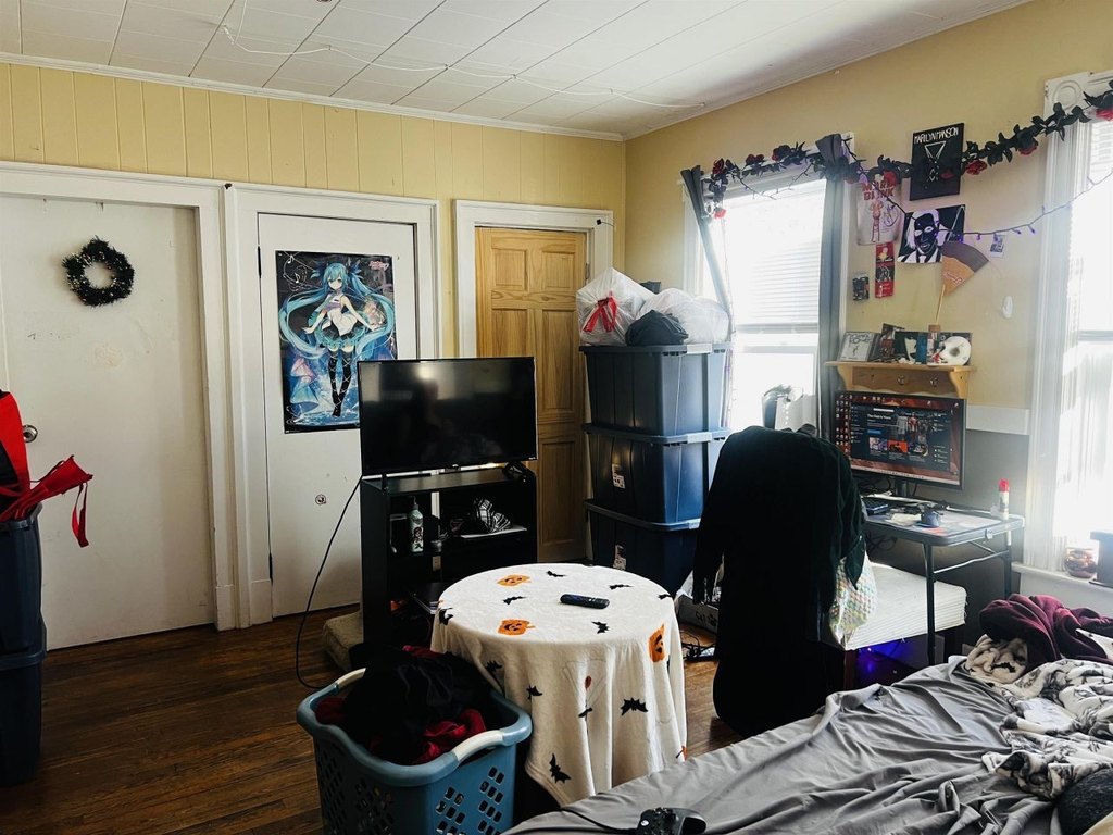 Picture 7