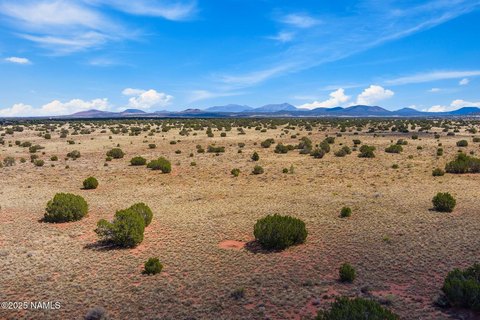 Expansive Land Parcel with Views