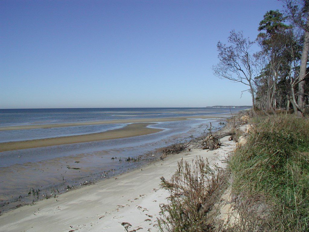 Picture 8