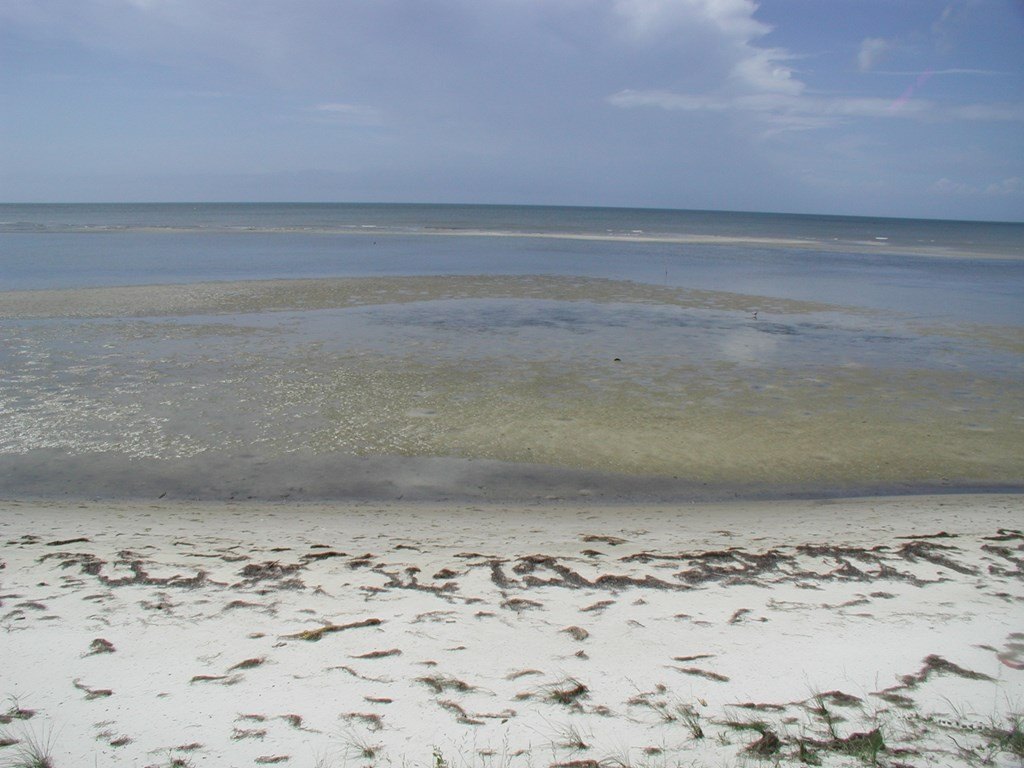 Picture 7