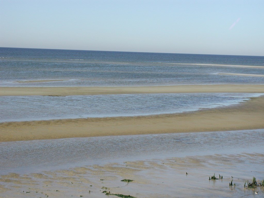 Picture 9