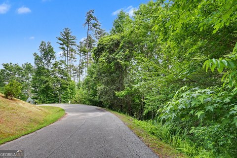 LAND - Mineral Bluff, GA