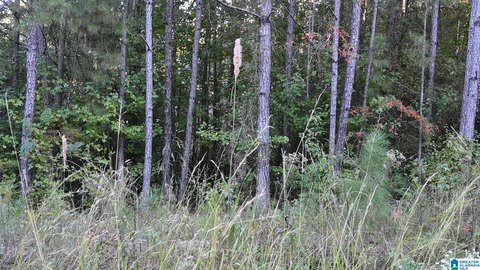 LAND/LOTS, CLEVELAND, AL