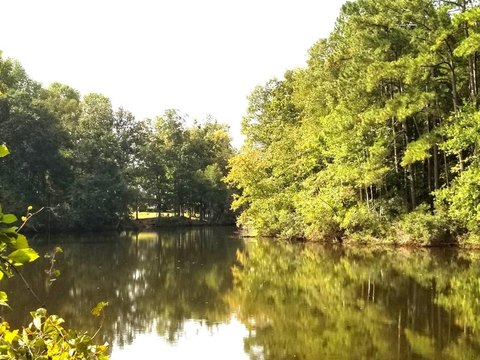 Land, Elloree, SC
