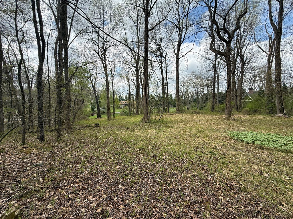 Picture 23